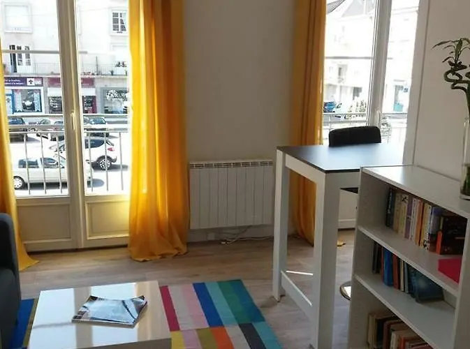 Appartement Sur L\'Ile De Saumur